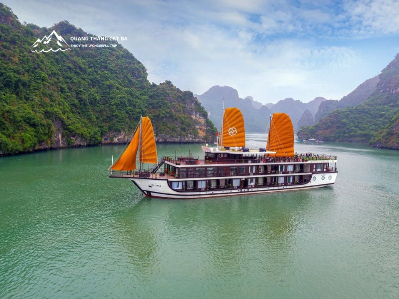 Peony Cruise