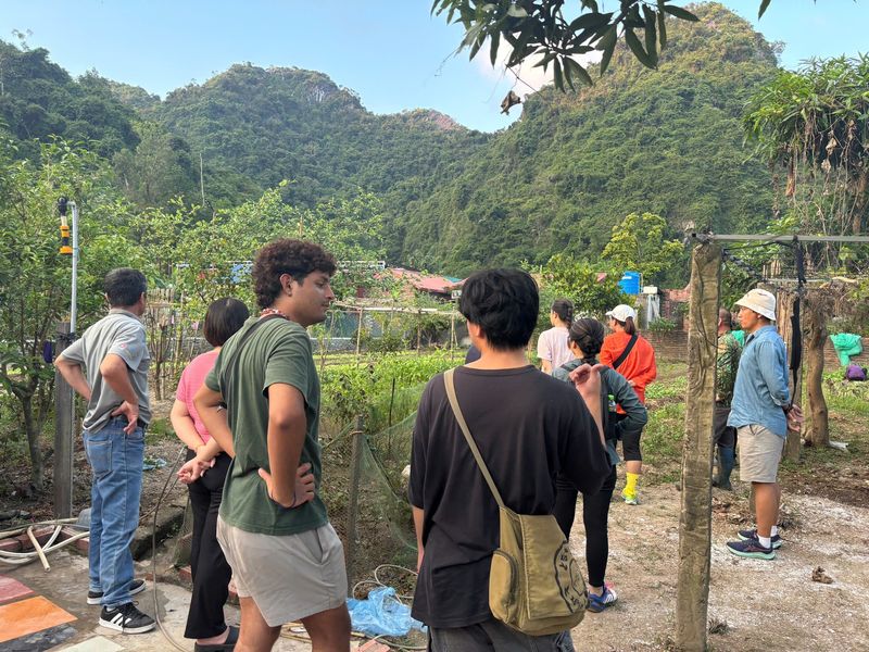Cat Ba trekking tour with dinner
