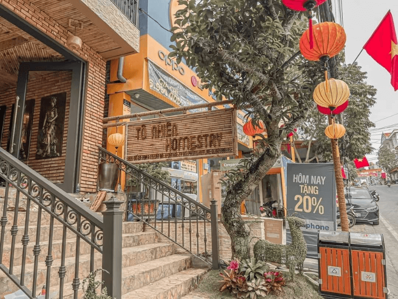 Tô Nhiên Homestay Cát Bà 4