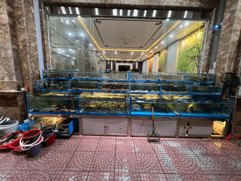nhà hàng vũ dương 3